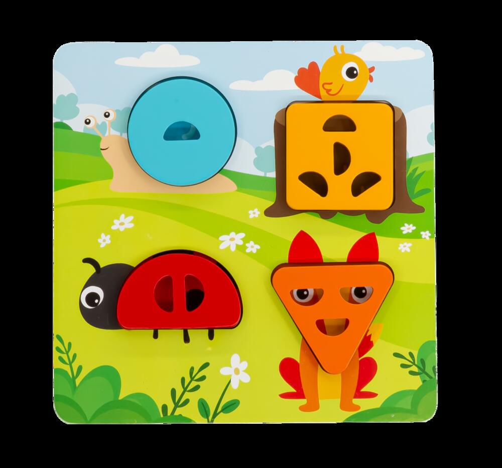 Shape Sorter Puzzle